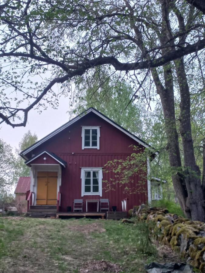 Bobackan Pihatorppa Hauholla Alvettula Exteriör bild