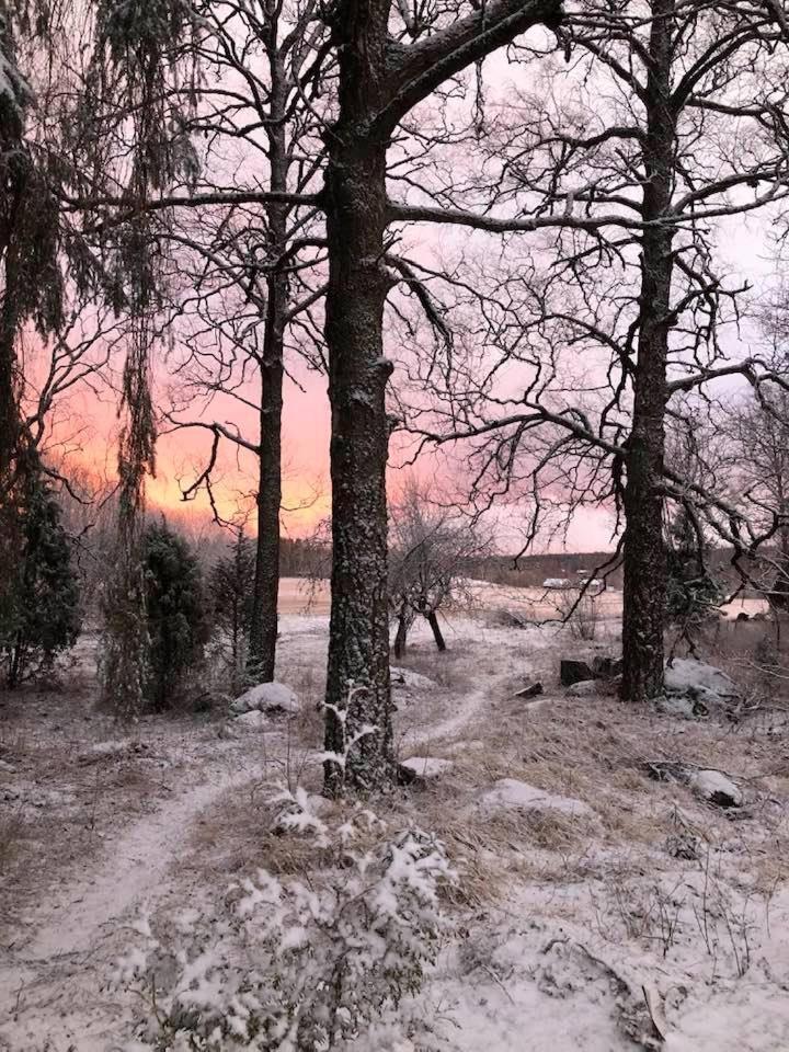 Bobackan Pihatorppa Hauholla Alvettula Exteriör bild
