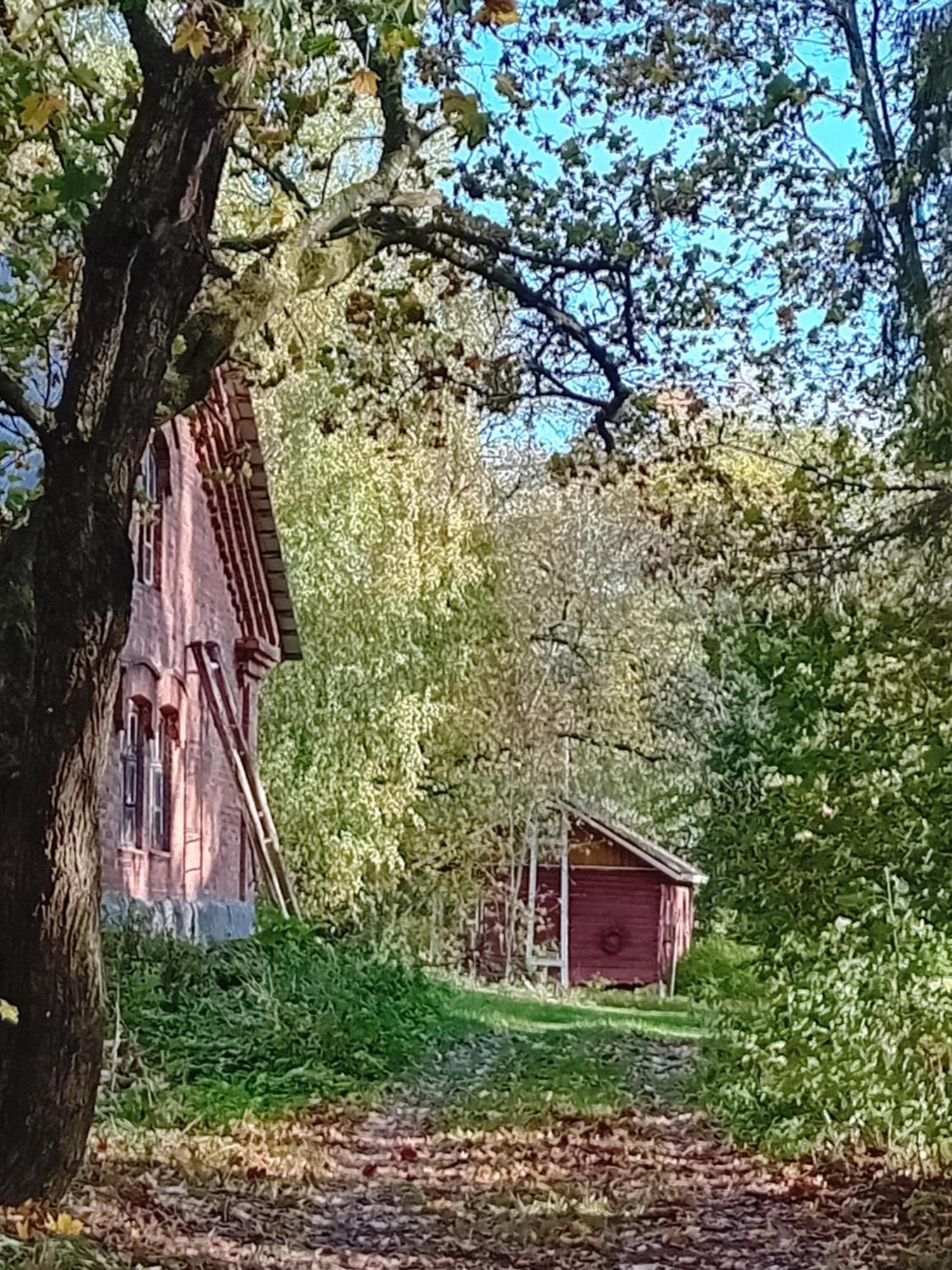 Bobackan Pihatorppa Hauholla Alvettula Exteriör bild
