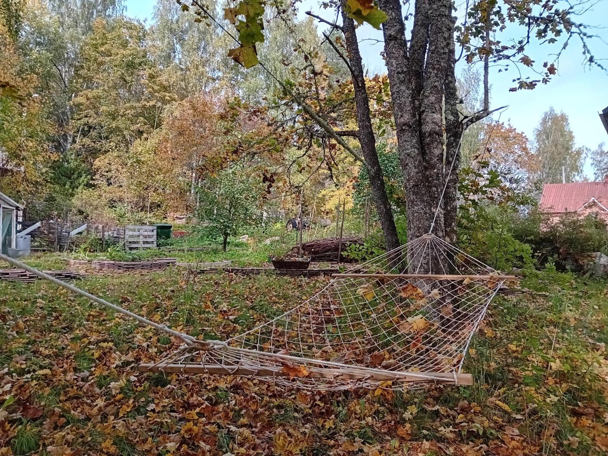 Bobackan Pihatorppa Hauholla Alvettula Exteriör bild